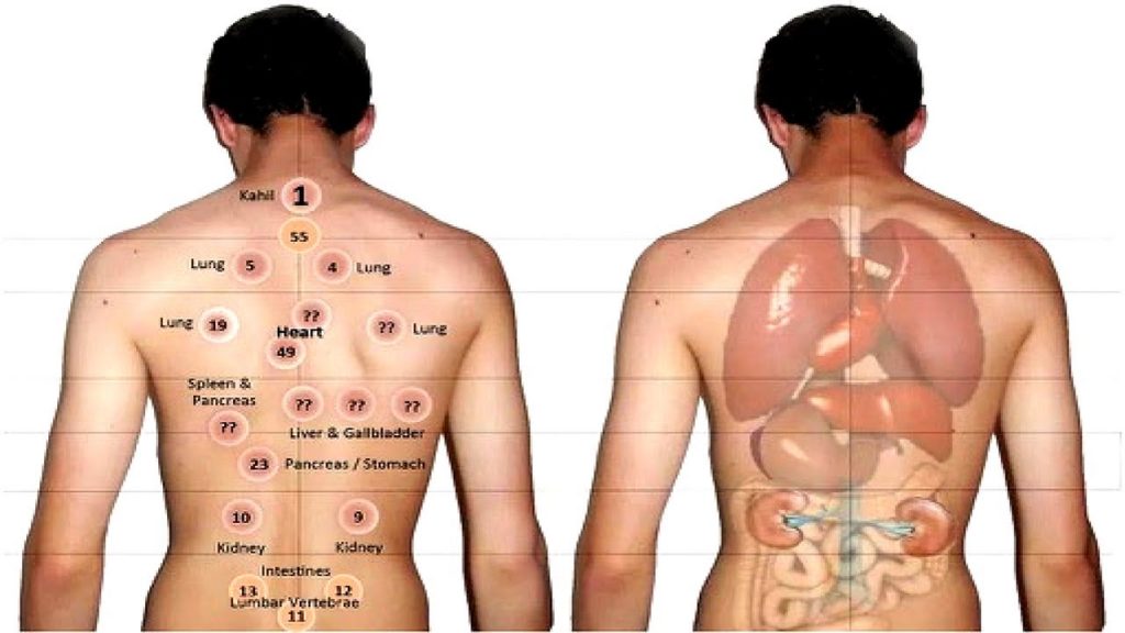 Top Benefits Of Cupping Therapy The Jade Roomsr